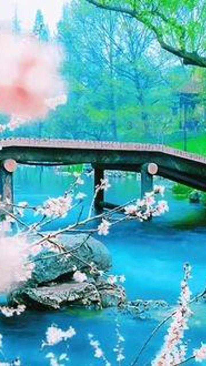 脑洞小老弟无实名认证